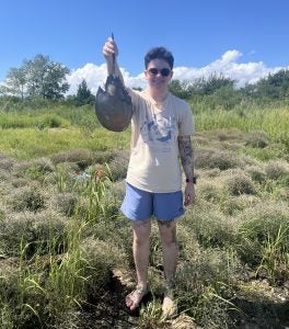 Tali S proudly shows off a horseshoe crab while standing in a marsh, blue skies overhead